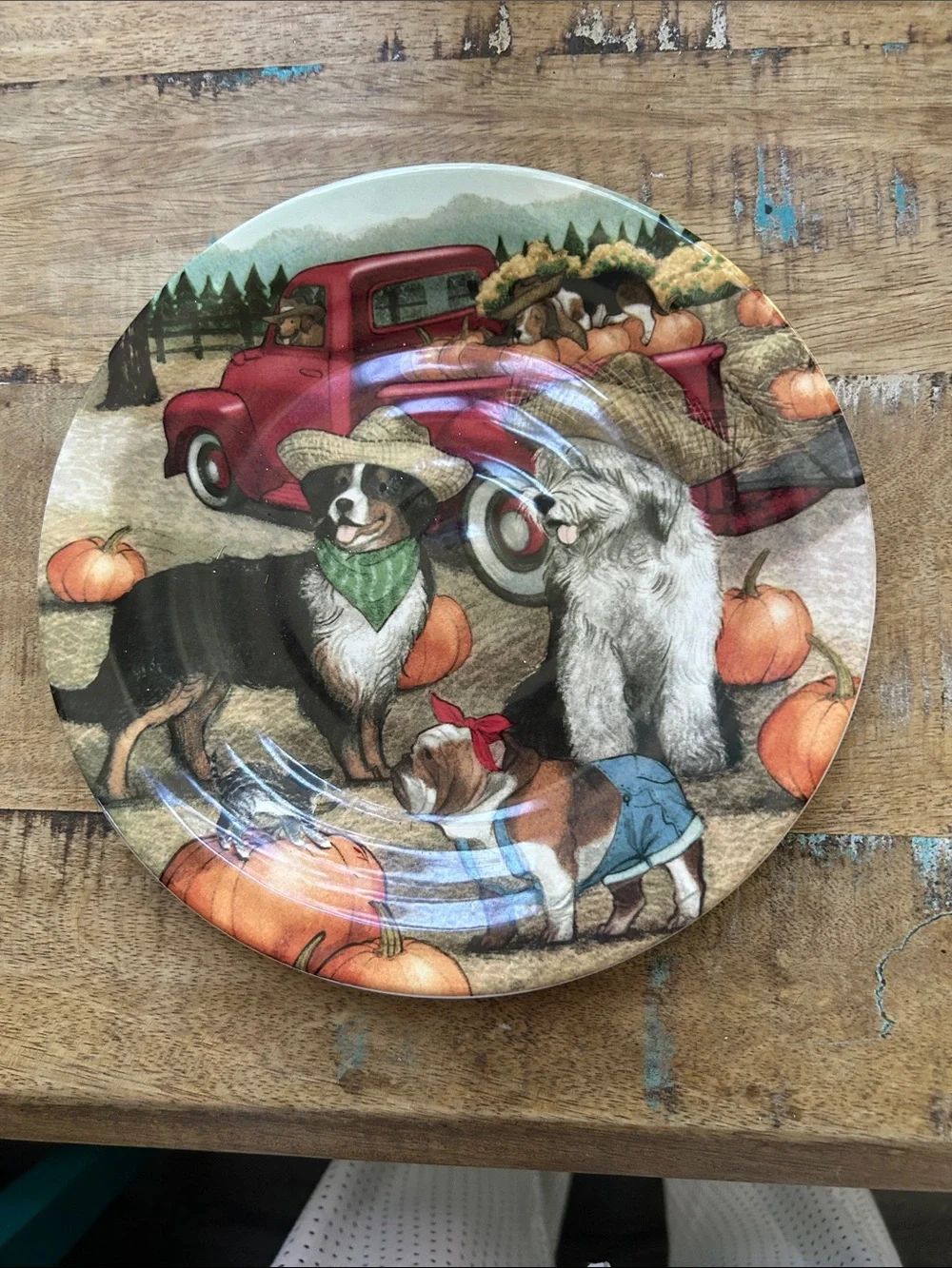 Seasonal Dog & Pumpkin 6 Decorative Plate - Red Truck Design. Great for fall.